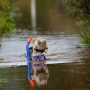 UK’s Bog Snorkeling: Dirty Fun, Fierce Contest