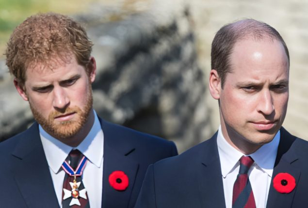 Prince William and Prince Harry’s Shared Love for Princess Diana