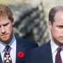 Prince William and Prince Harry’s Shared Love for Princess Diana