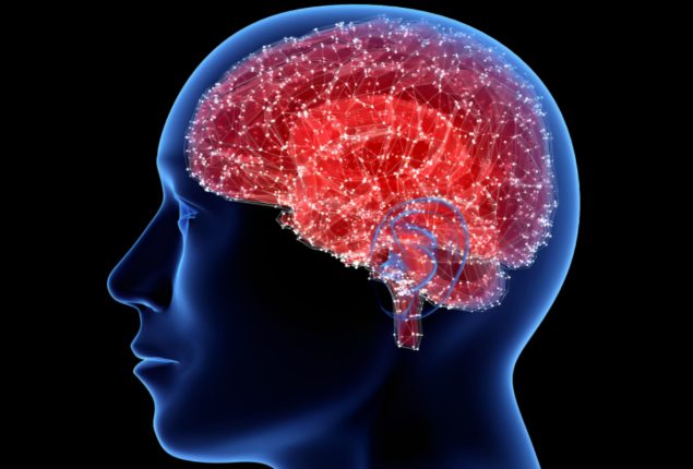 Brain Parasite
