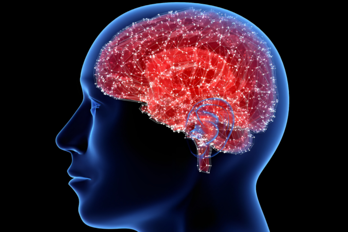 Brain Parasite