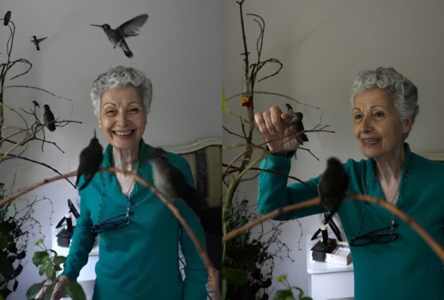 Hummingbird Hospital