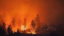 Canada wildfires: Wildfires force 30,000 Canadians to evacuate