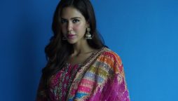 Sonam Bajwa Looks Stunning in Traditional Outfit