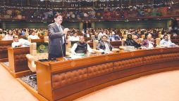 Sindh assembly