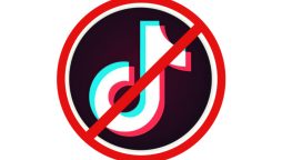 Lahore High Court petition calls for TikTok ban amid concerns