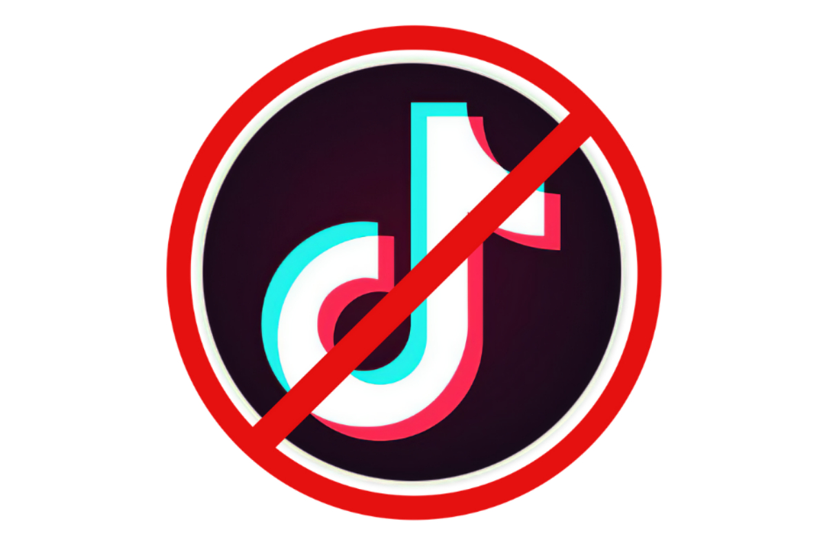 Lahore High Court petition calls for TikTok ban amid concerns