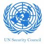 UN Security Council strongly condemn Bajaur blast