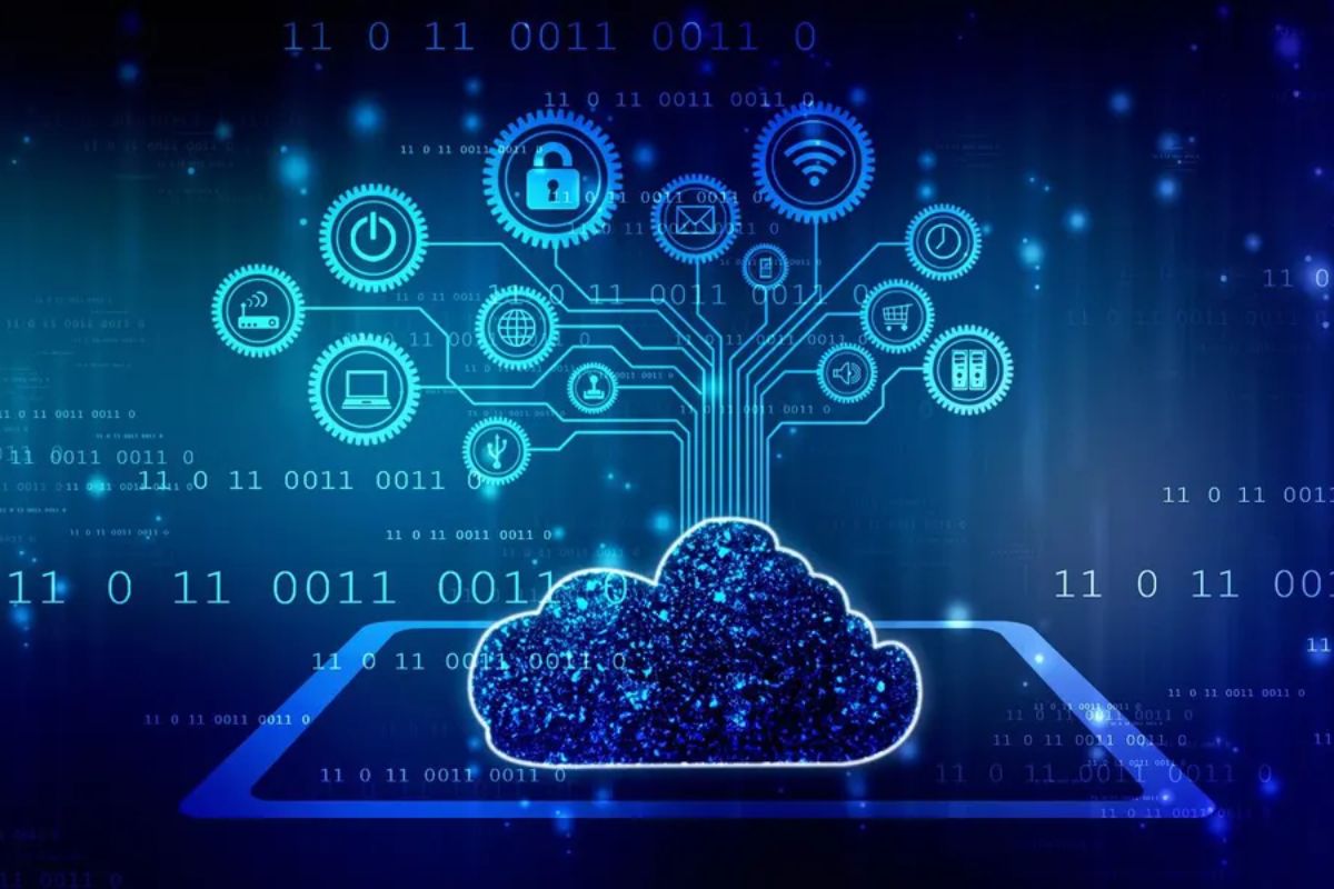 Pakistan's telecom sector has a bright future in the digital economy