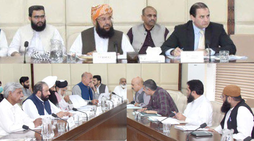 Senate Committee unanimously approves Ruet-e-Hilal Bill, Hajj Umrah Bill