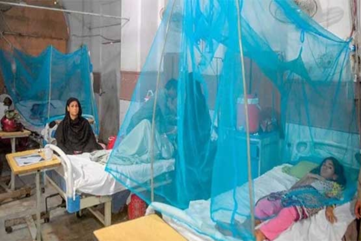 Dengue Punjab
