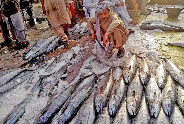 Karachi Fish Harbor Authority demands Rs150 mn for security by Sindh govt