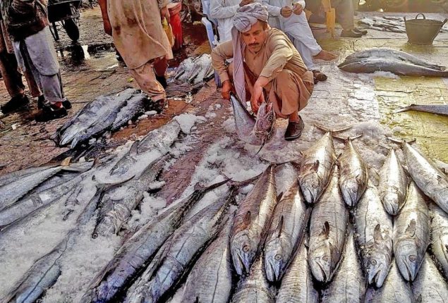 Karachi Fish Harbor Authority