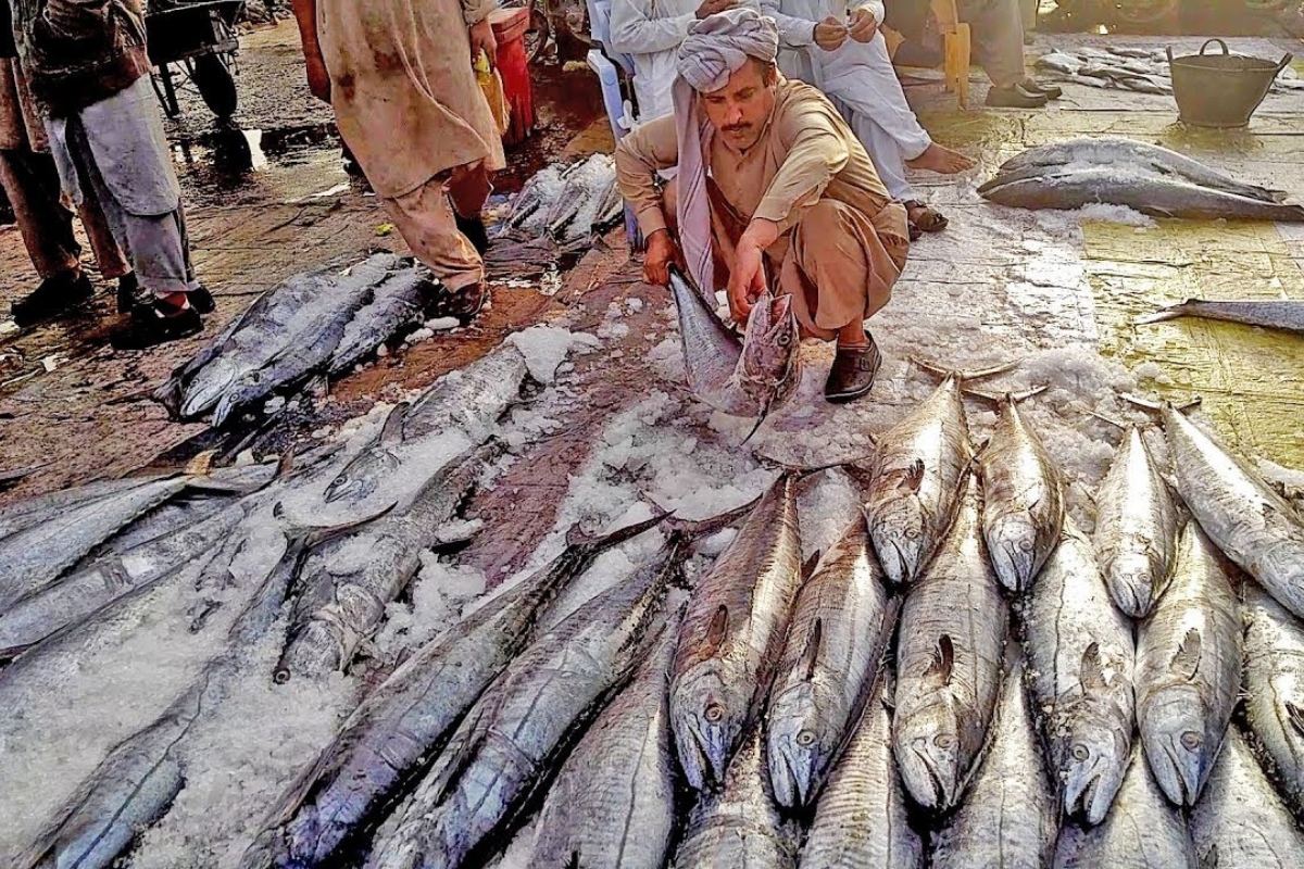 Karachi Fish Harbor Authority