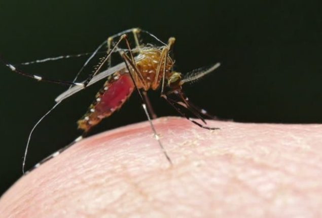 Sindh interim CM takes notice of rising malaria cases in province