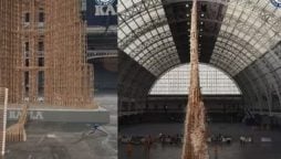 Giant Wooden Toy Block Tower Sets World Record with Satisfying Domino Topple