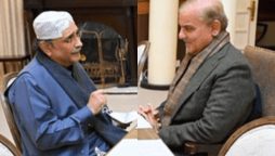 PM zardari nawaz