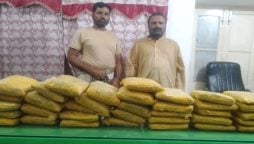 ANF recovers massive quantity of drugs during operations