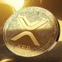 XRP surpasses expectations during crypto market dip