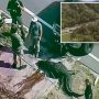 Viral: Giant 14-Foot Alligator Found With Body in US Canal
