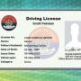 How to check the validity of your driving license in Sindh online
