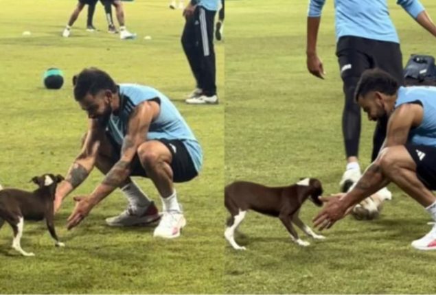 WATCH: Virat Kohli melts hearts by petting puppy during Indian cricket team's practice
