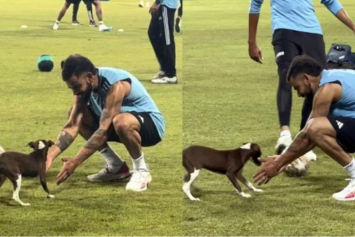 WATCH: Virat Kohli melts hearts by petting puppy during Indian cricket team's practice