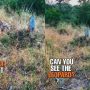 Can You Spot the ‘Ignorant’ Hyena Walking Past a Leopard?