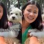 Poodle Adorably Photobombs Woman’s Selfie