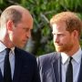 Prince Harry to Get Text from William & Charles Next Week