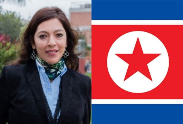 UN Human Rights Expert to Visit Seoul to Discuss North Korea