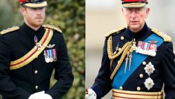 Royal enthusiasts divided over King Charles's decision to forgive Prince Harry