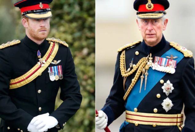 Royal enthusiasts divided over King Charles’s decision to forgive Prince Harry