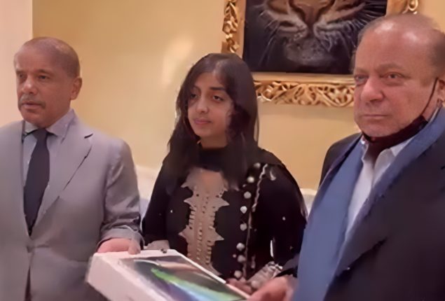 Nawaz Sharif, Shehbaz praise British-Pakistan student Mahnoor Cheema
