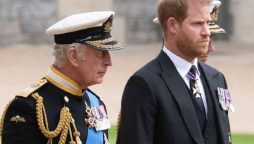 Prince Harry King Charles