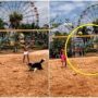 Dog Shows Humans How It’s Done in Viral Volleyball Video