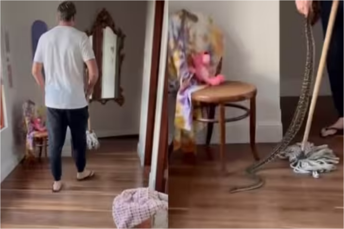 Glenn McGrath Python Encounter