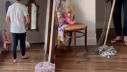 Former cricketer Glenn McGrath catches 3 pythons in his home