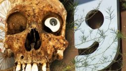 Skull found in Goodwill donation box sparks investigation