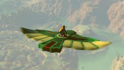 Tears of the Kingdom Player creates the Flying Battle