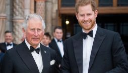 Prince Harry King Charles royal family