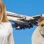 New Zealand Couple’s Flight Nightmare: Stinky Dog