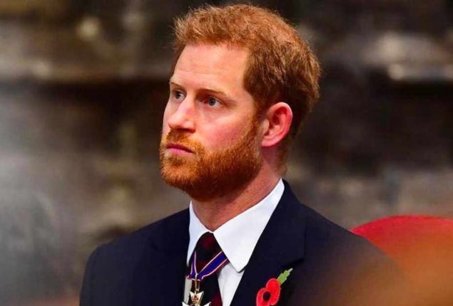 Prince Harry ‘pinching himself’ over his success in leaving UK