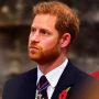 Prince Harry ‘pinching himself’ over his success in leaving UK