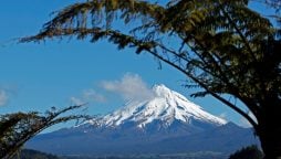 Mount Taranaki Climber ‘Exceptionally Lucky’ to Be Alive