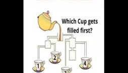 Brain Teaser Cup