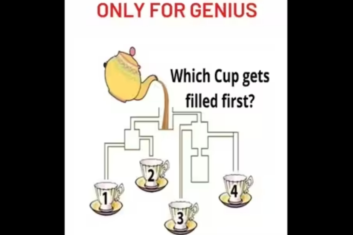 Brain Teaser Cup