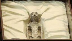 Mexican Congress UFOs