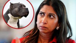 Bully dogs are a threat to life, says Suella Braverman