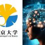 Brain-inspired AI learns to make more accurate predictions